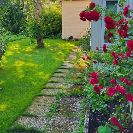 Apartman Marias
